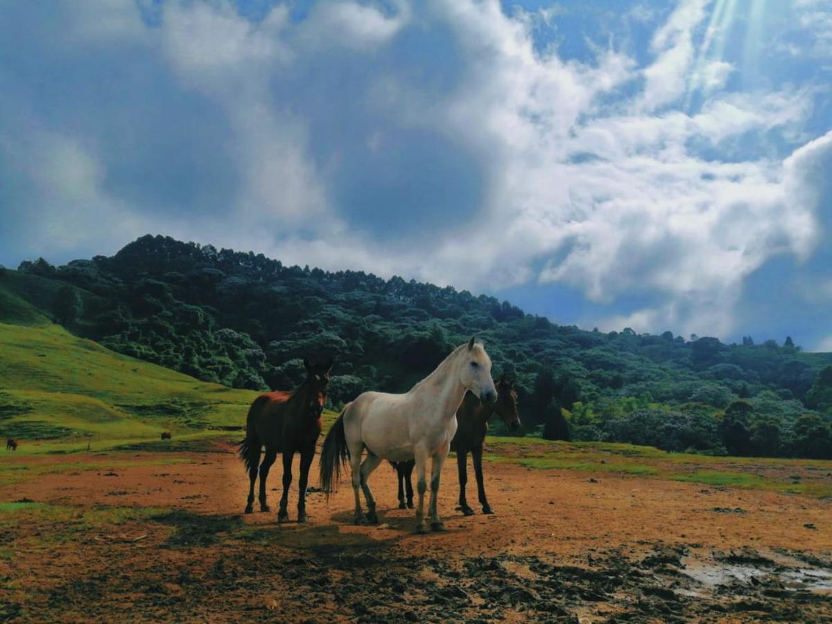 Finca Recreacional Marcelandia 산타 로사 데 카발 외부 사진