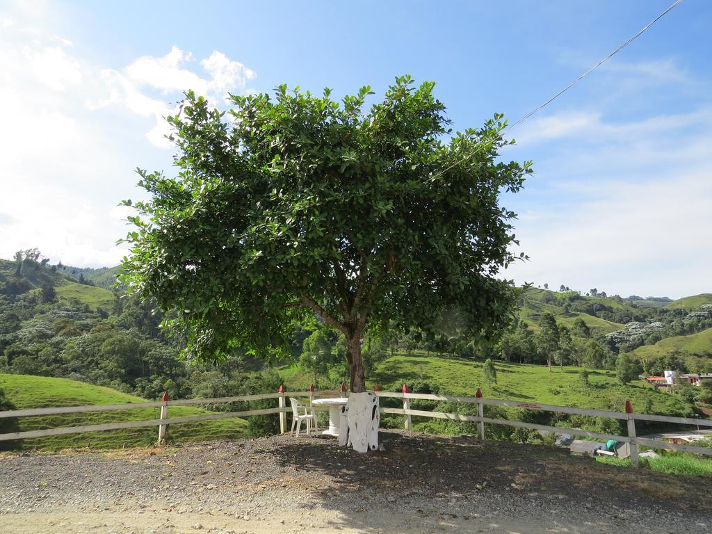Finca Recreacional Marcelandia 산타 로사 데 카발 외부 사진