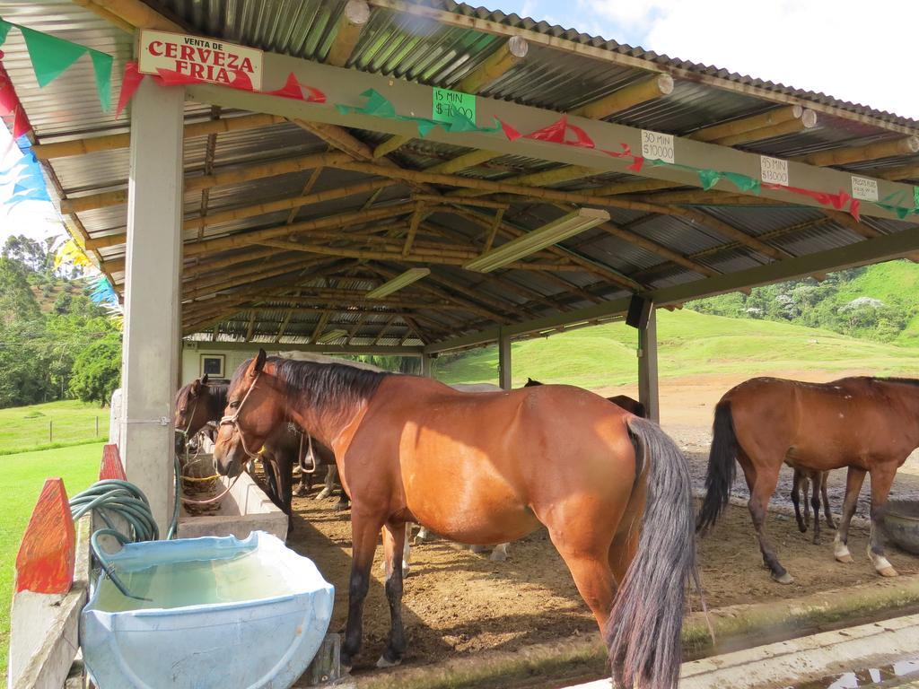Finca Recreacional Marcelandia 산타 로사 데 카발 외부 사진